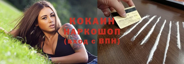 хмурый Елизово